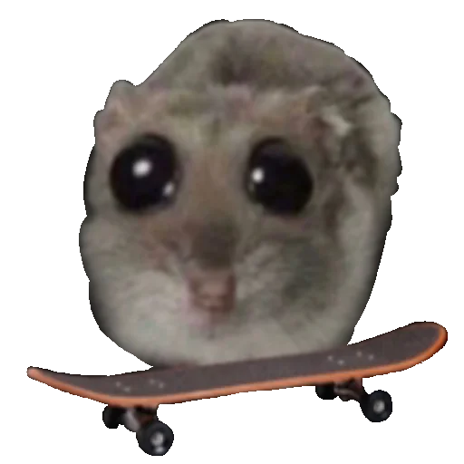 🛹 Стикер «Homi4ok» для Telegram