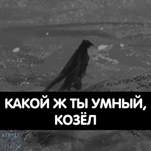 🎓 Стикер «Singi» для Telegram