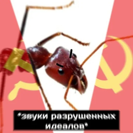 👺 Стикер «Singi» для Telegram