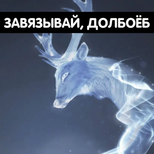 🙅‍♂ Стикер «Singi» для Telegram