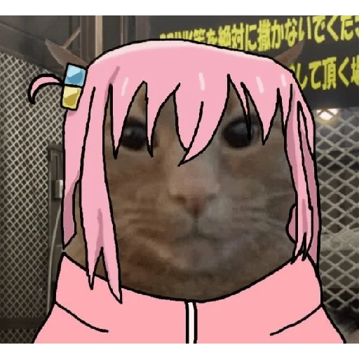 😼 Стикер «Bocchi the nigga» для Telegram