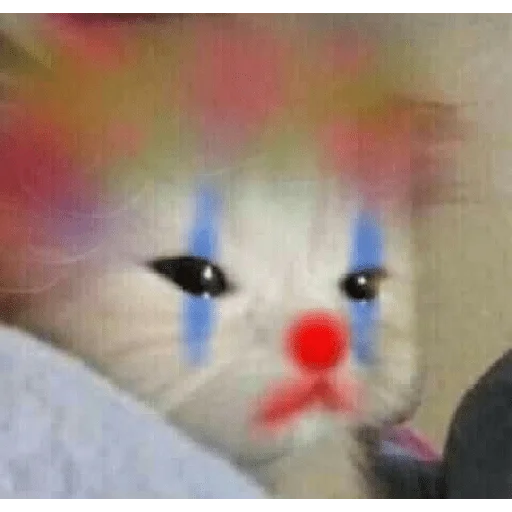 🤡 Стикер «Bocchi the nigga» для Telegram