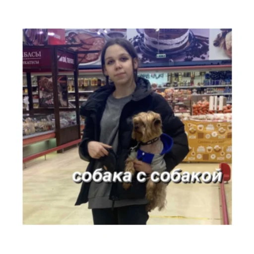 🐶 Стикер «несем тортик, а вы?» для Telegram