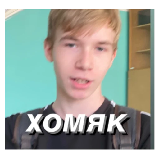 🐹 Стикер «несем тортик, а вы?» для Telegram