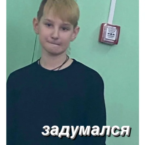 🤔 Стикер «несем тортик, а вы?» для Telegram