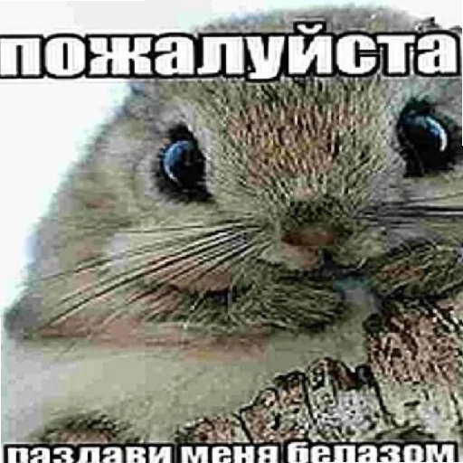 😢 Стикер «хуета с пинтереста» для Telegram