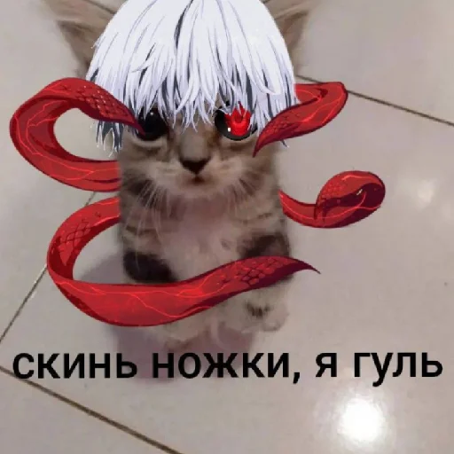 😏 Стикер «хуета с пинтереста» для Telegram