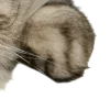 Стикер 12 сладкие булочки