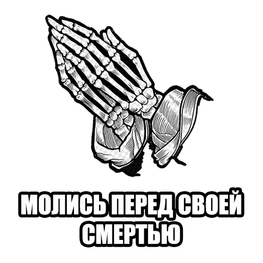 😂 Стикер «skamPACK42» для Telegram