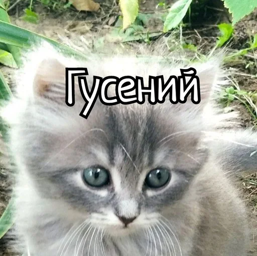 😁 Стикер «Скамейка» для Telegram
