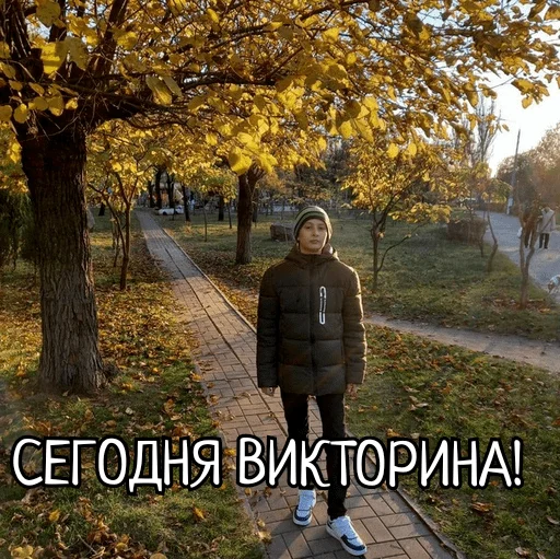 👍 Стикер «Скамейка» для Telegram