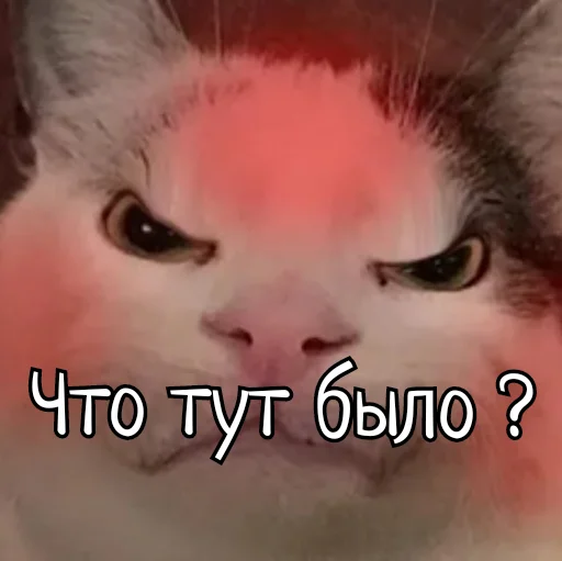 ❓ Стикер «Скамейка» для Telegram