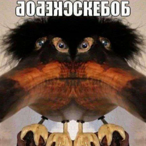 👥 Стикер «Скебоб» для Telegram