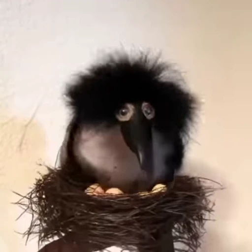 🥚 Стикер «Скебоб» для Telegram