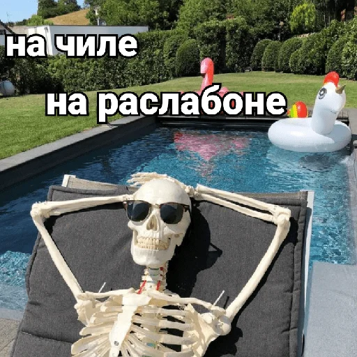 🏖️ Стикер «Несносный скелет Джо» для Telegram