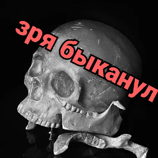 🤼 Стикер «Несносный скелет Джо» для Telegram