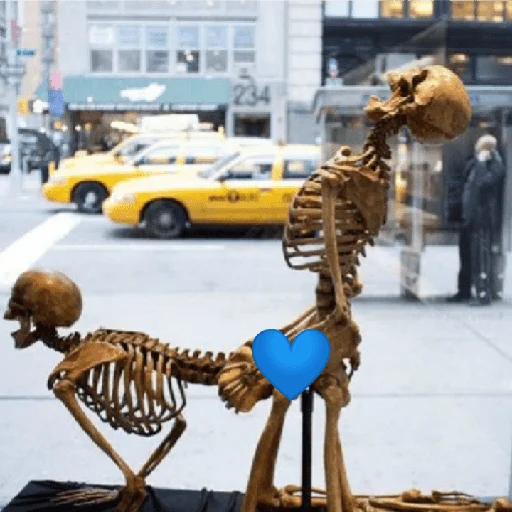 💙 Стикер «Несносный скелет Джо» для Telegram