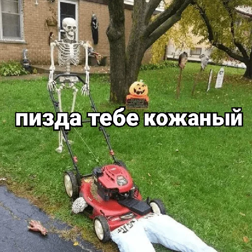 🚜 Стикер «Несносный скелет Джо» для Telegram