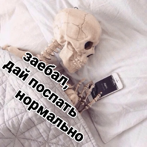 🛌 Стикер «Несносный скелет Джо» для Telegram