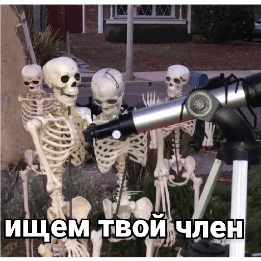 🔭 Стикер «Несносный скелет Джо» для Telegram