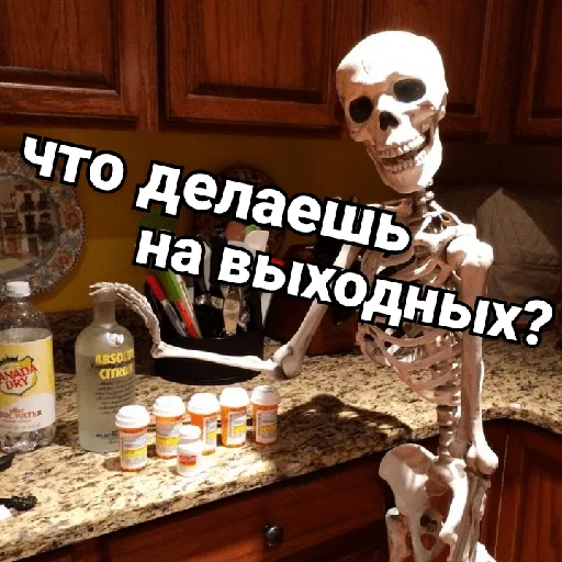 🍾 Стикер «Несносный скелет Джо» для Telegram