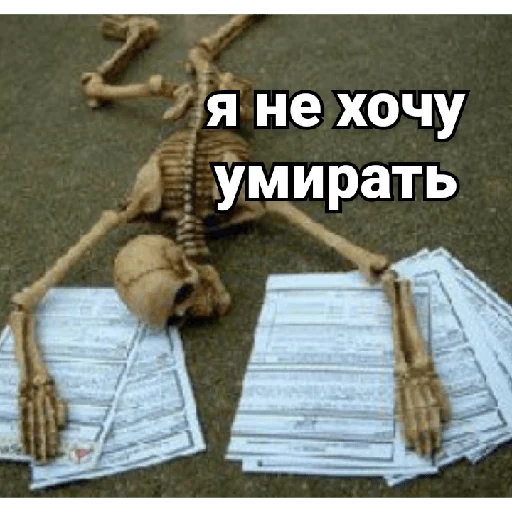 📚 Стикер «Несносный скелет Джо» для Telegram