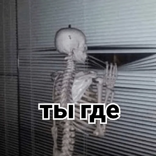 👀 Стикер «Несносный скелет Джо» для Telegram