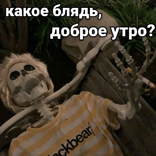 🌅 Стикер «Несносный скелет Джо» для Telegram