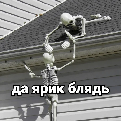 🏠 Стикер «Несносный скелет Джо» для Telegram