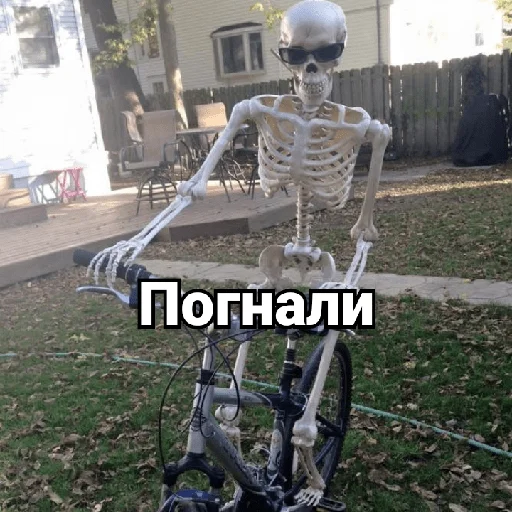 🚴‍♂️ Стикер «Несносный скелет Джо» для Telegram