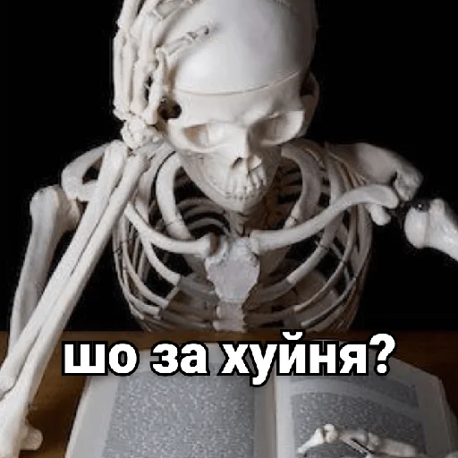 📖 Стикер «Несносный скелет Джо» для Telegram