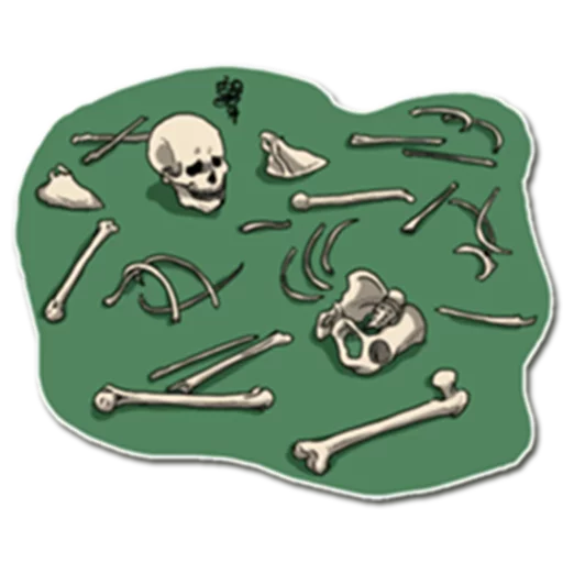 💀 Стикер «Skeleton Bob /» для Telegram