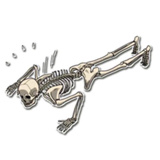 😅 Стикер «Skeleton Bob /» для Telegram