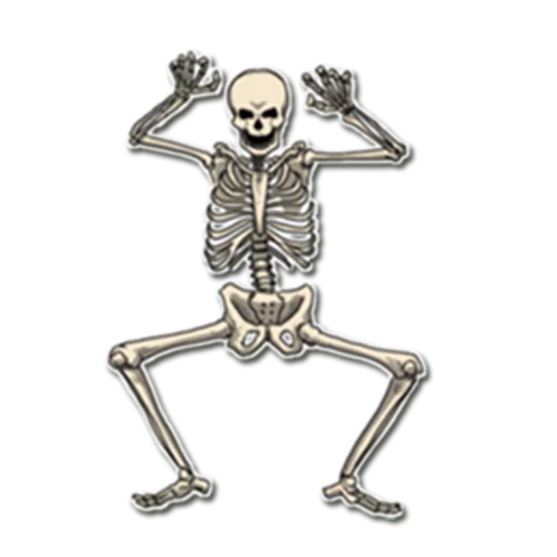 😉 Стикер «Skeleton Bob /» для Telegram