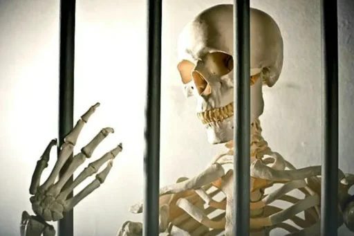 💀 Стикер «Skeleton Mania» для Telegram