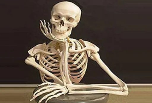 💀 Стикер «Skeleton Mania» для Telegram