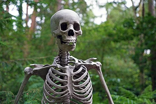 💀 Стикер «Skeleton Mania» для Telegram