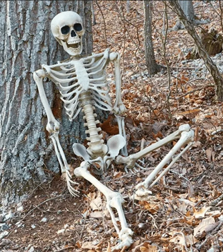 💀 Стикер «Skeleton Mania» для Telegram