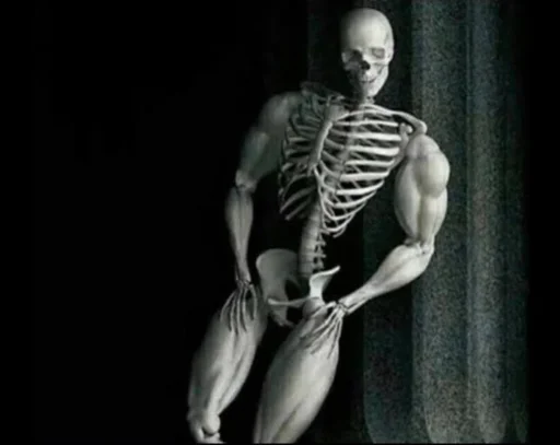 💀 Стикер «Skeleton Mania» для Telegram