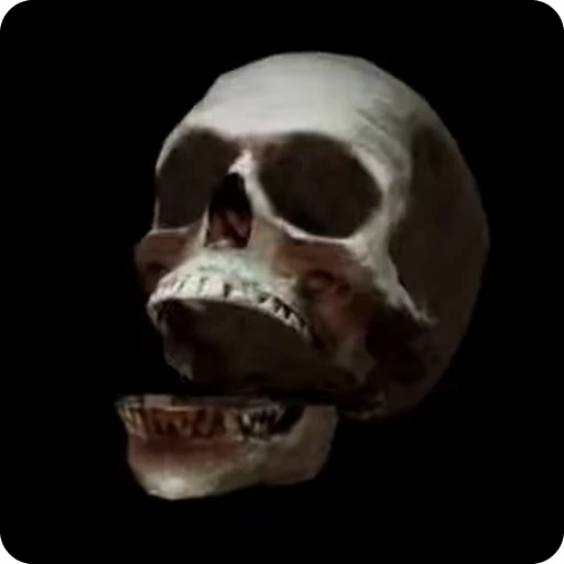 💀 Стикер «Skeleton» для Telegram
