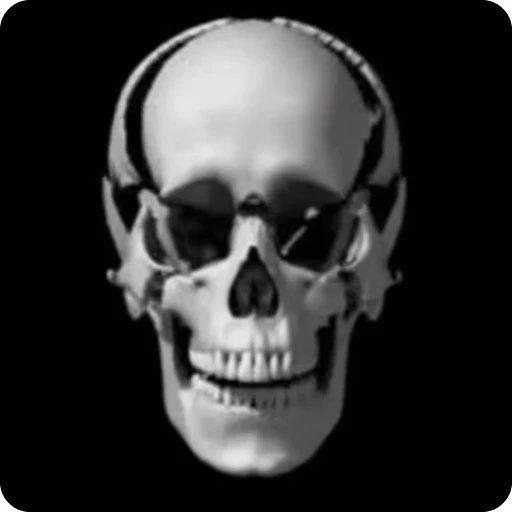💀 Стикер «Skeleton» для Telegram