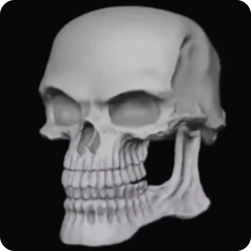 💀 Стикер «Skeleton» для Telegram