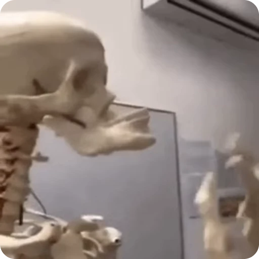 💀 Стикер «Skeleton» для Telegram