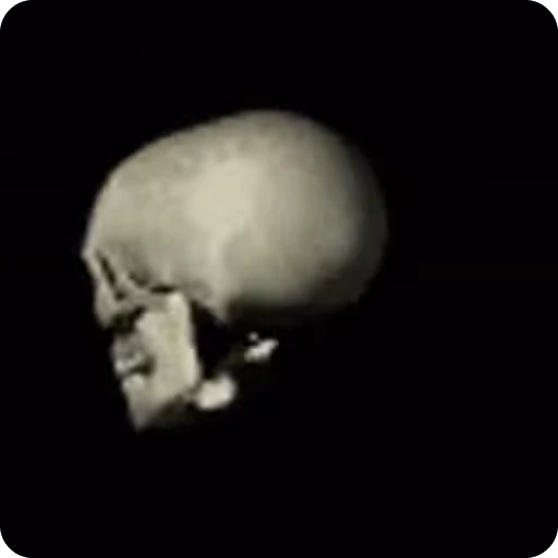 Стикерпак Skeleton для Telegram