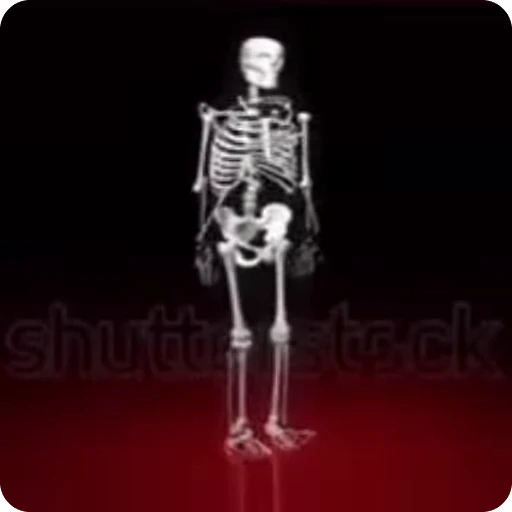 💀 Стикер «Skeleton» для Telegram
