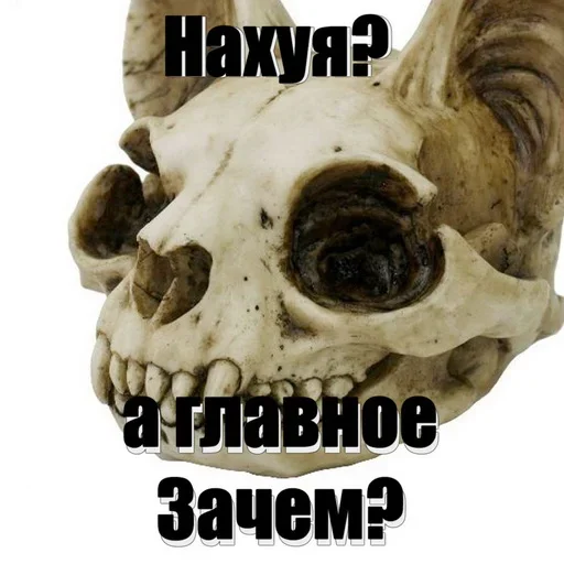 ❓ Стикер «Скелето слэнг» для Telegram