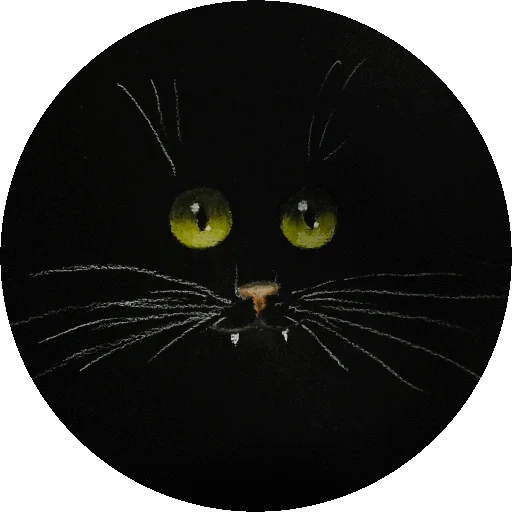 🌚 Стикер «Sketch cats» для Telegram