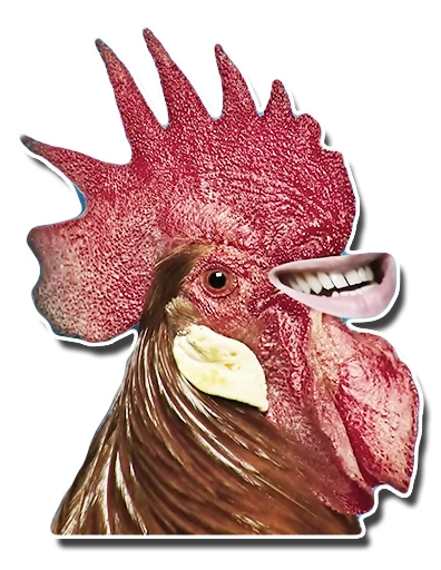 🐓 Стикер «Skibidi Little Big» для Telegram