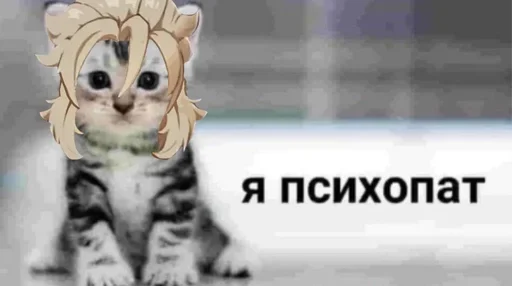 🥸 Стикер «сука и ее команда афроамериканцев 2» для Telegram