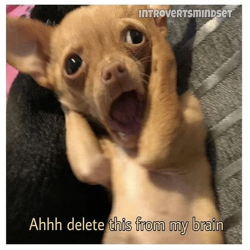 😑 Стикер «мемные животные» для Telegram